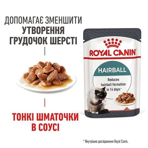 Купити Royal Canin (Роял Канін) Hairball Care - Консервований корм для ...