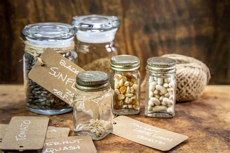 Seed Viability Testing Treeier