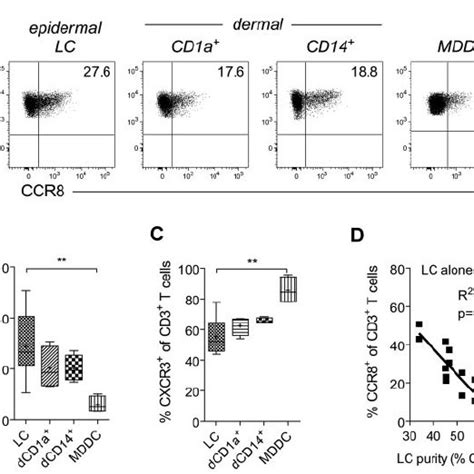 primary epidermis instructs ccr expression  naive  cells naive