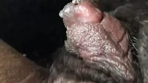 VicDeli Porn Videos Sex Model Nudes XHamster