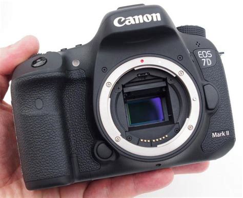 Canon 7D Mark II: обзор характеристик и отзывы :: SYL.ru