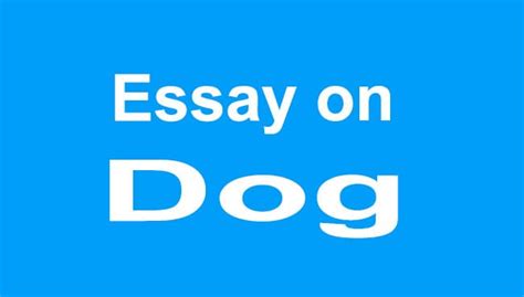 Essay on Dog / Dog Essay for Students in English