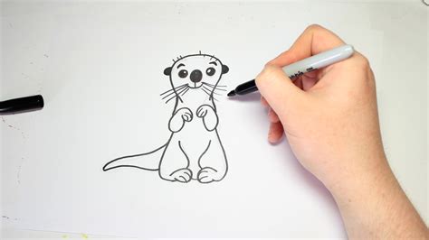 sea otter drawing 1