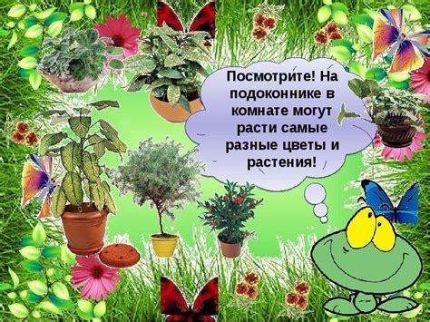 Комнатные растения в детском саду - презентация, доклад, проект скачать