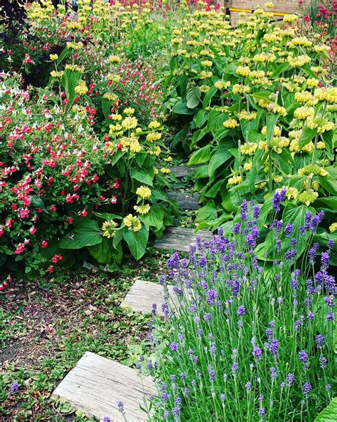 About – Gladstone Connect