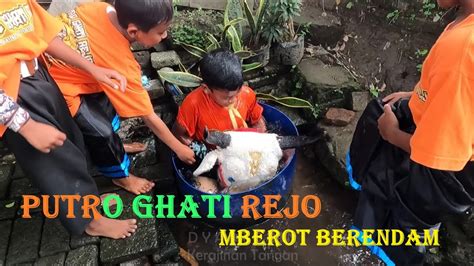 Mbolang Bareng Bantengan Putro Ghati Rejo Mberot Full Kalapan Youtube