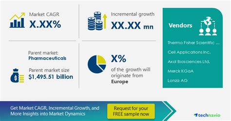 Mesenchymal Stem Cells Market Research Report And Industry Analysis