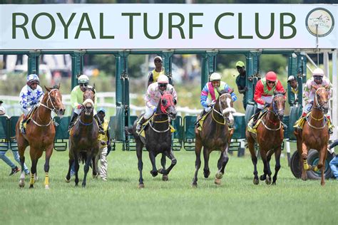 Royal Turf Club Nuwara Eliya Sports Tourism Race Day 2024 - Newswire