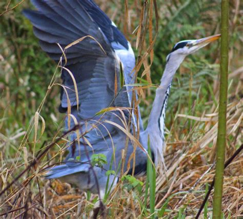 Gossip Her First Naked Outdoor Photo Shoot And It Was Cold And Wet