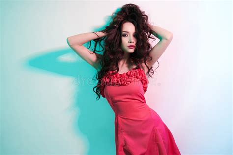 Belle Femme De Brunette Photo Stock Image Du Cheveu