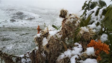 Kashmir Gets Season S First Snowfall In Gulmarg Greater Kashmir