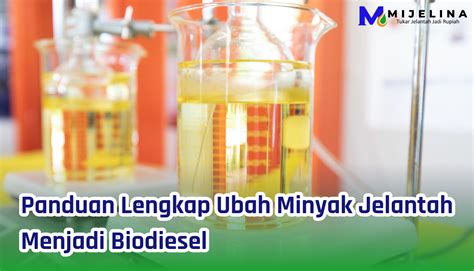 Potensi Biodiesel di Indonesia: Peluang dan Tantangan - Mijelina ID