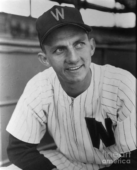 Washington Senators By The Stanley Weston Archive