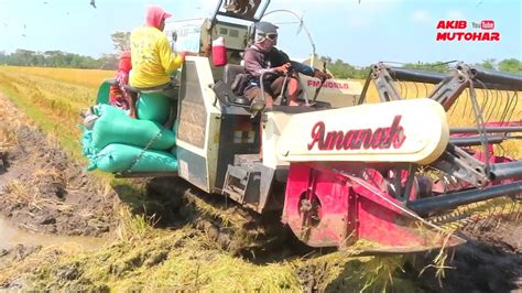 Kombi Sawah Maxxi Bimo Xtreme Amanah Youtube