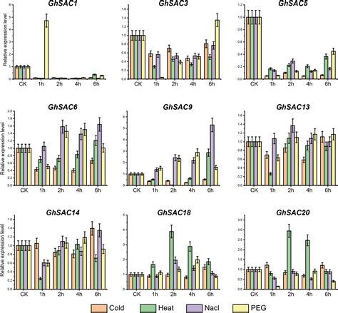 Frontiers Genomic Identification Of Cotton Sac Genes Branded Ovule