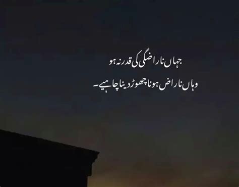 30 Deep Poetry In Urdu Poetry Addiction