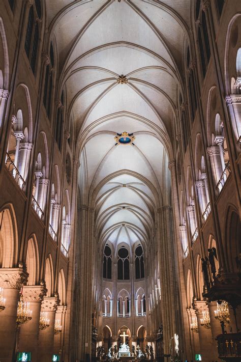 Surprising & Modern Changes to Notre Dame Since the Fire | solosophie