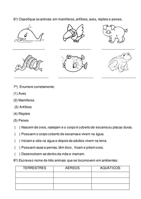 Atividade Animais Invertebrados 3 Ano