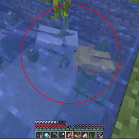 how to keep axolotl minecraft