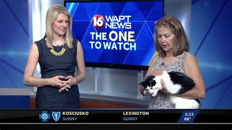 Pet Of The Week Youtube