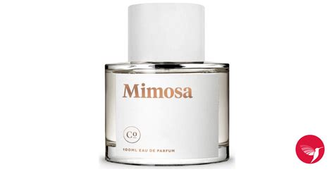 Mimosa Commodity Parfum - ein es Parfum für Frauen 2013