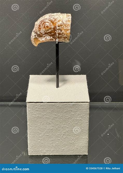 Recent Obituaries and Memorial Tributes from Corning, New York 2