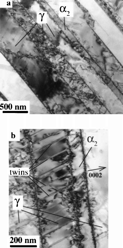 Bright Field Micrographs Of The Defect Sub Structure In A Lamellar