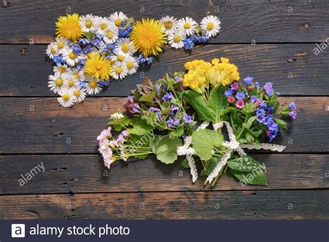 Edible Wild Plants Hi Res Stock Photography And Images Alamy