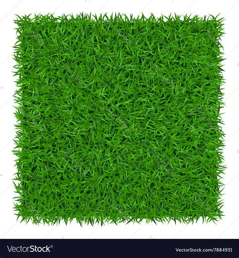 Green Grass Background 1 Royalty Free Vector Image