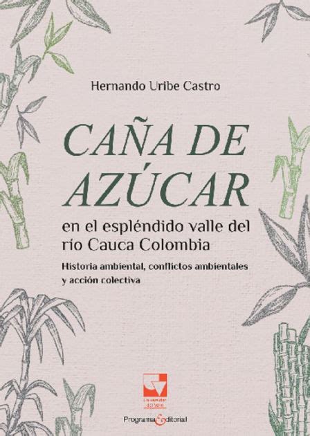 Caña de azúcar en el espléndido valle del río Cauca Colombia Historia