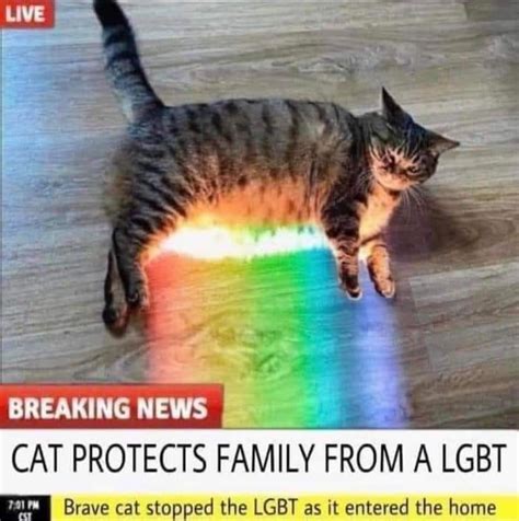 But I Thought Cats Were Gay For Gays Gag