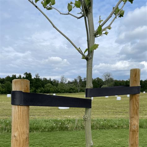 uppbindningsband robur