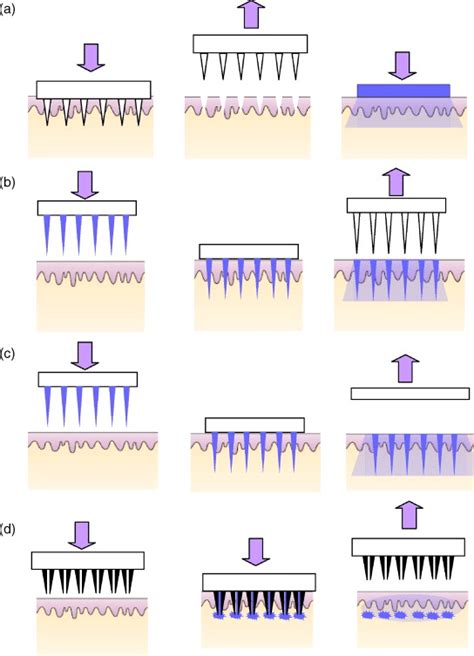 A Schematic Representation Of Four Different Mn Application Methods