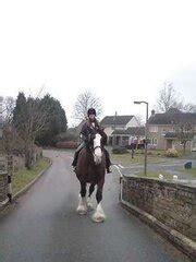 Bits And Bobs ZB Porn