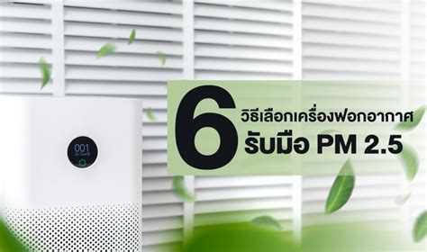 6 วิธีเลือกเครื่องฟอกอากาศ รับมือ Pm2 5