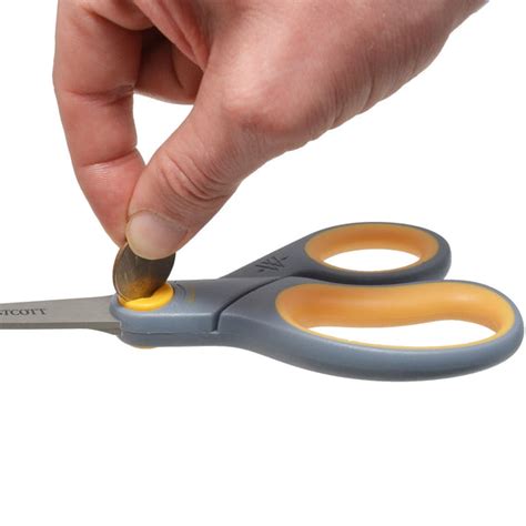 Wescott Titanium Scissors 8 Inches 2ct Heritage Animal Health