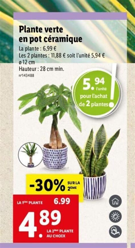 Promo Plante Verte En Pot C Ramique Chez Lidl