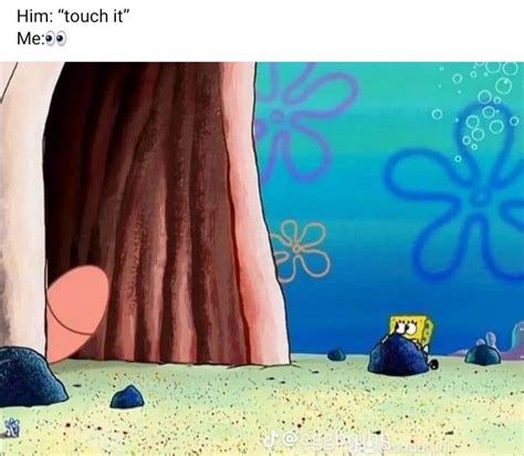Dirty Spongebob Memes For Horny Folks Under The Sea Ebaum S World