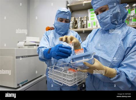 Crioconservación de muestras en nitrógeno Laboratorio biofarmacéutico