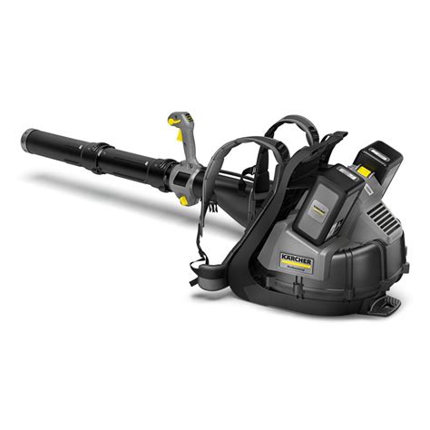 Воздуходувка Karcher LBB 1060/36 Bp Pack | 1.042-510.0 - Садовая ...