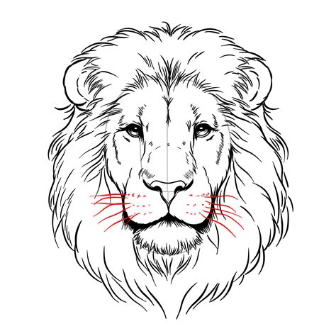 Drawing Artist That Work On Lion King 5