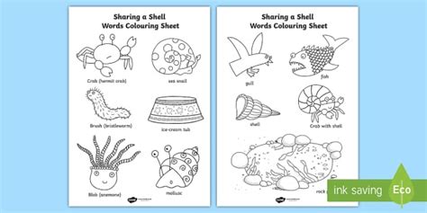 FREE Words Colouring Sheet To Support Teaching On Sharing A Shell