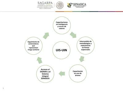 UIS UIN Accesos Al SIGINAV Y Al Sistema Integral SENASICA