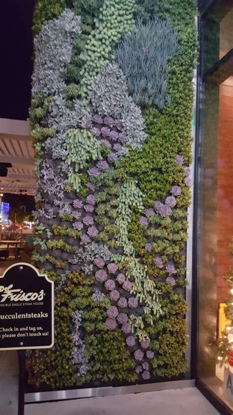 Pin On Quick Saves Vertical Garden Diy Succulent Landscape Design