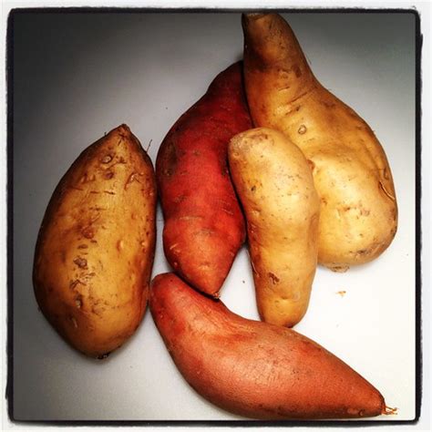 Potatoes Flashcards Quizlet