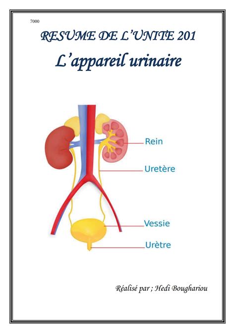 resumé de l’unité (201) l’appareil urinaire – University Book