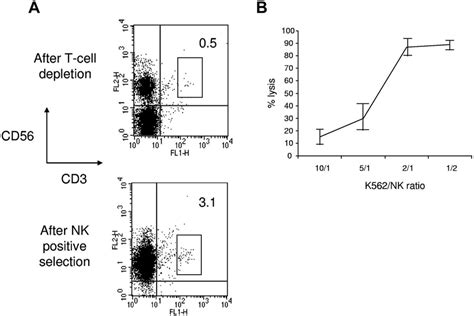 Donor Nk Cell Purification A Flow Cytometric Analysis Of Nk Cells Download Scientific