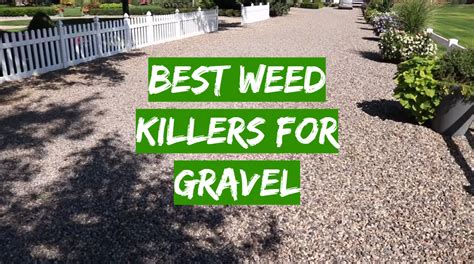 Top 5 Best Weed Killers For Gravel September 2024 Review Grass Killer