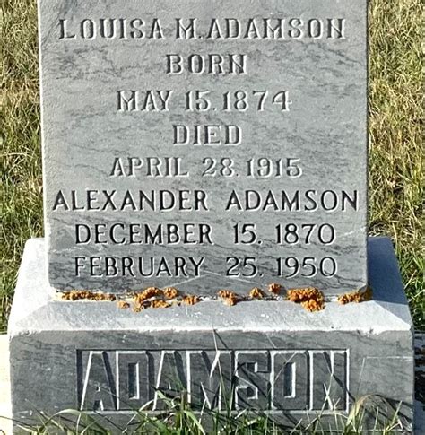 Alexander Adamson Jr 1870 1950 Monumento Find A Grave