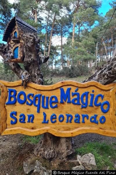 Bosque M Gico San Leonardo De Yag E